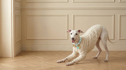 DIY Dog Fashion: Tips and Tricks for Stylish Outfits