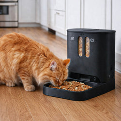 Cat Bowls & Feeders