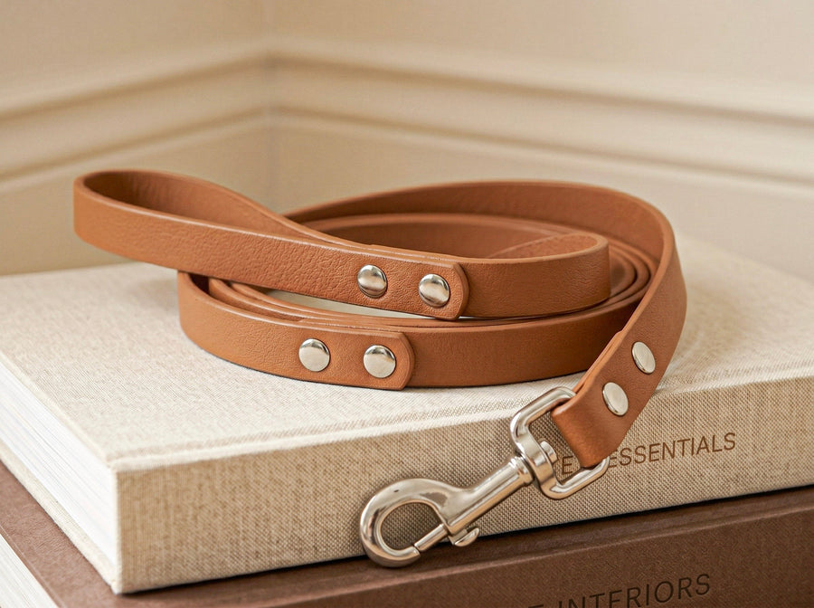Dog Leashes