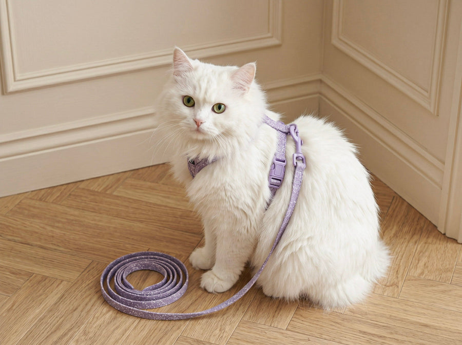 Cat Leashes