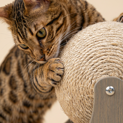 Scratching Posts