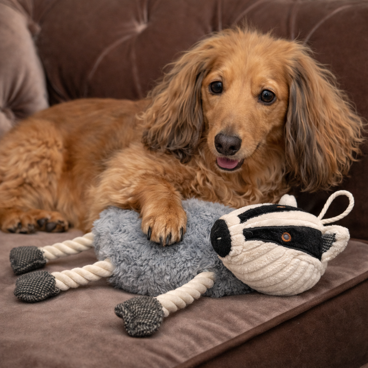 ECO Plush Dog Toy — Badger