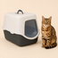 Enclosed Cat Litter Box with Hood, Swinging Door & Carry Handle