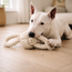 Rope Tug Dog Toy