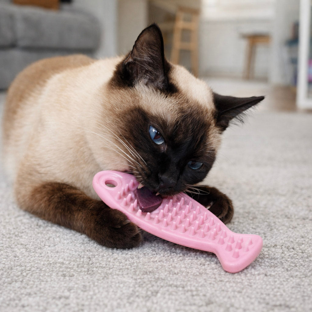 Chew toy for cats