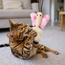 Plush butterfly crinkle toy