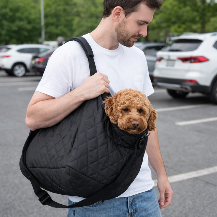 Dog car hammock bag