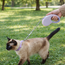 Retractable cat leash