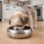 Metal Dog Feeding Bowl