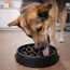 Slow Feeder Dog Bowl