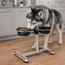Double Dog Bowl Stand