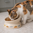 Ceramic Cat Bowl Stand