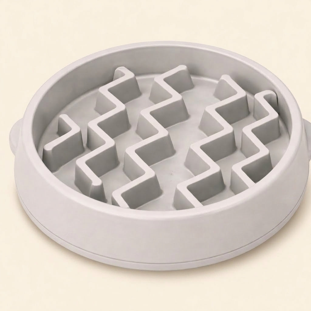Slow Feeder Dog Bowl