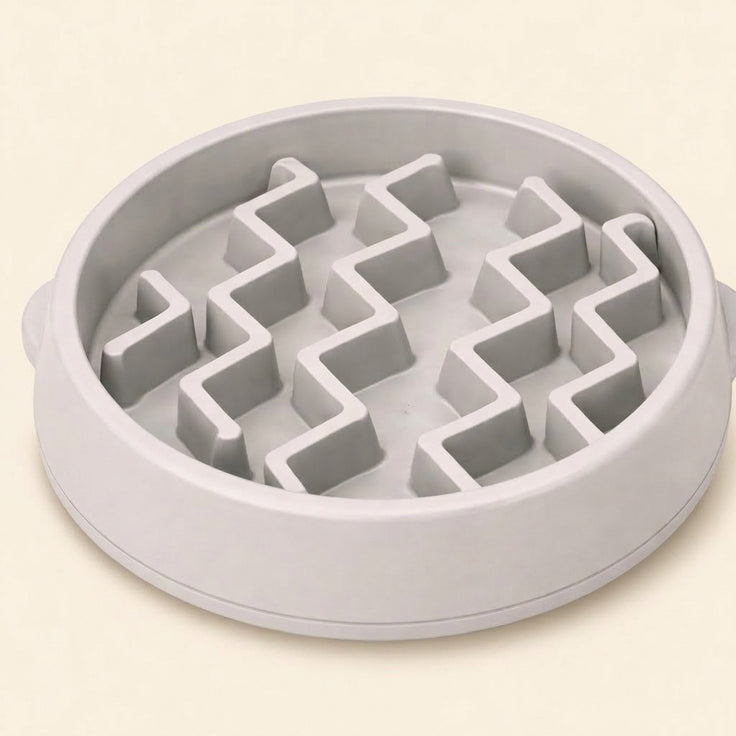 Slow Feeder Dog Bowl