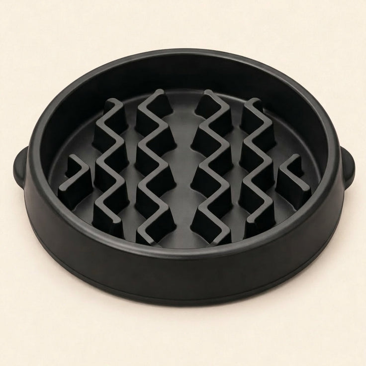 Slow Feeder Dog Bowl