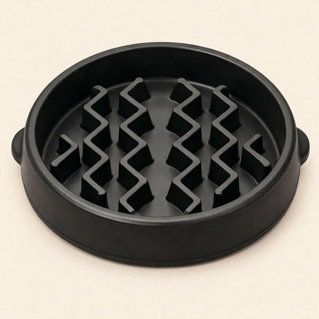 Slow Feeder Dog Bowl