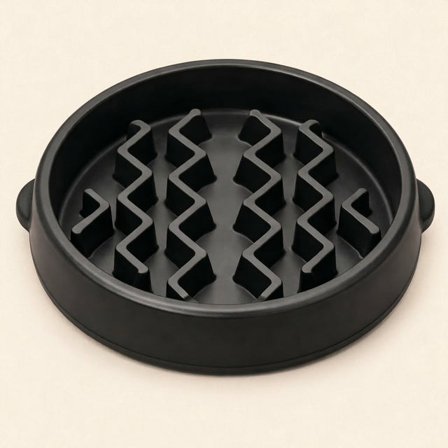 Slow Feeder Dog Bowl