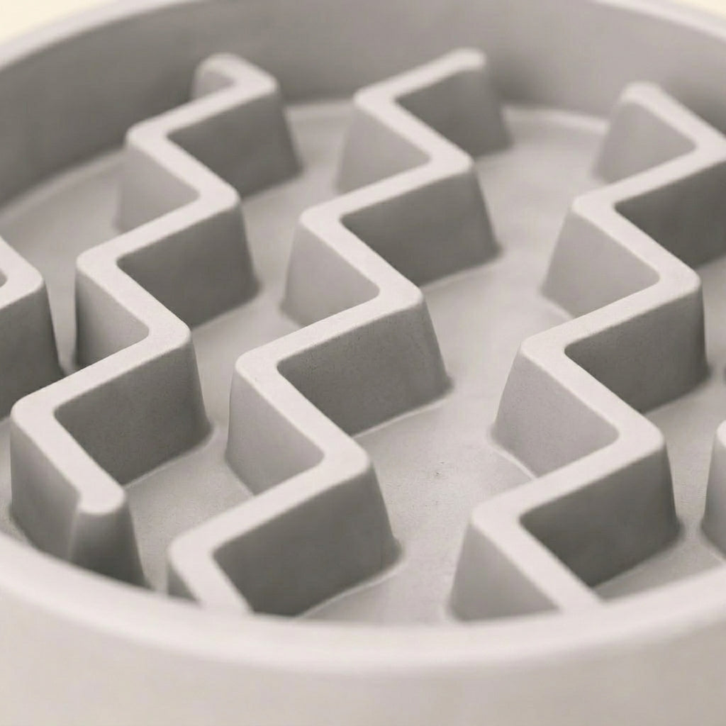 Slow Feeder Dog Bowl