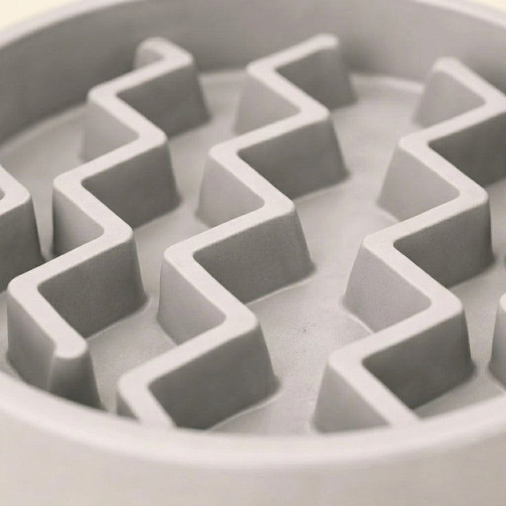 Slow Feeder Dog Bowl