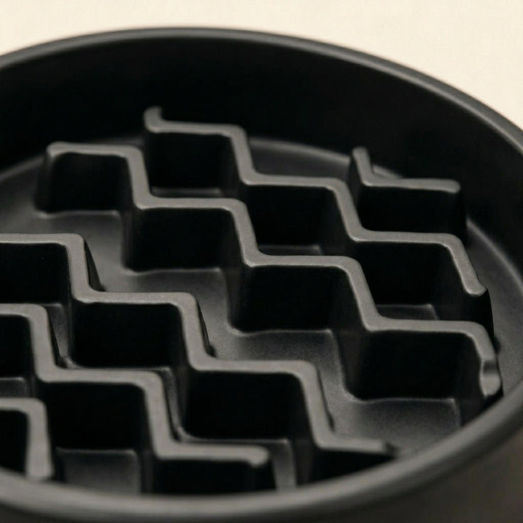 Slow Feeder Dog Bowl