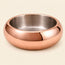 Metal Dog Feeding Bowl