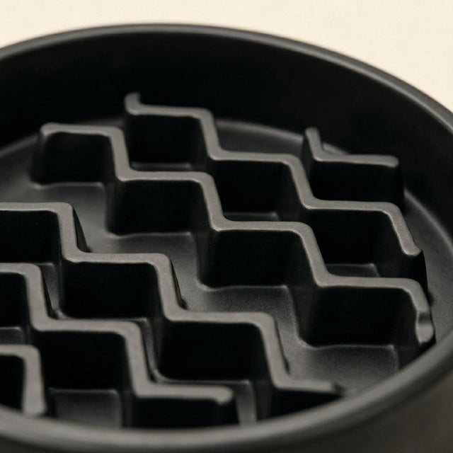 Slow Feeder Dog Bowl