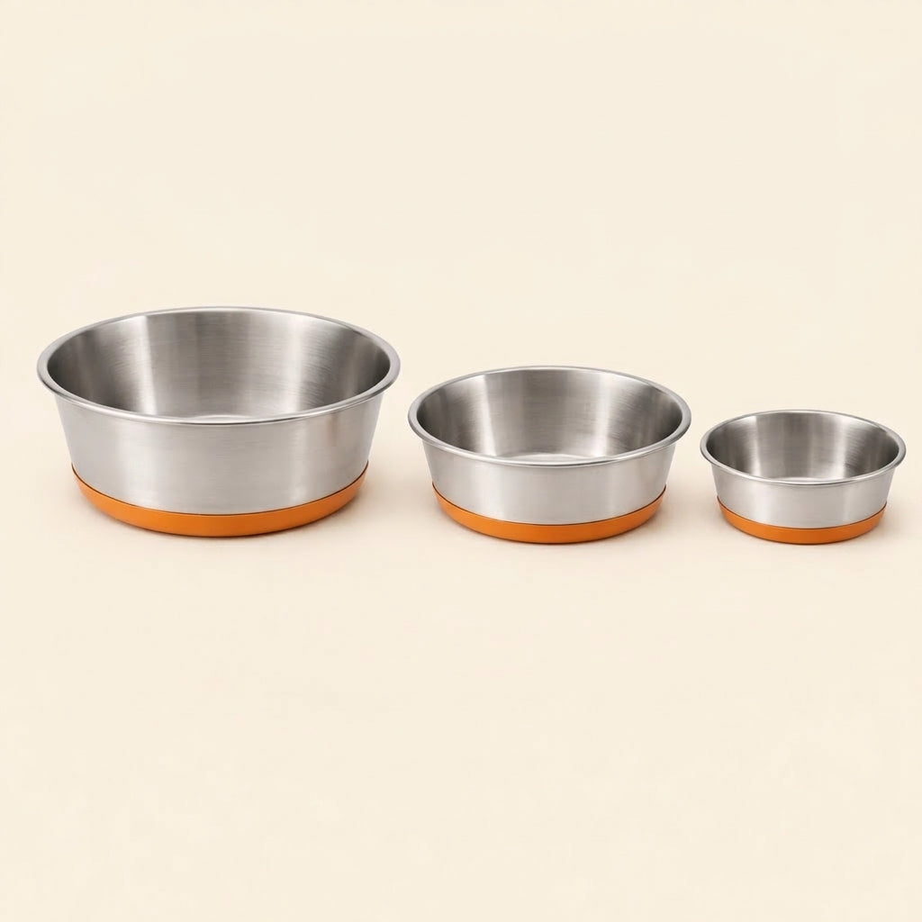 Non-Slip Dog Bowl