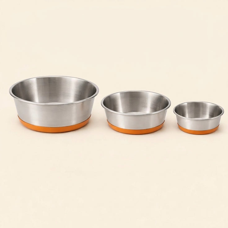Non-Slip Dog Bowl