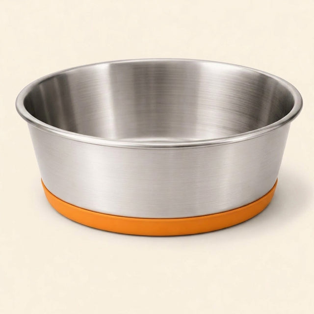 Non-Slip Dog Bowl
