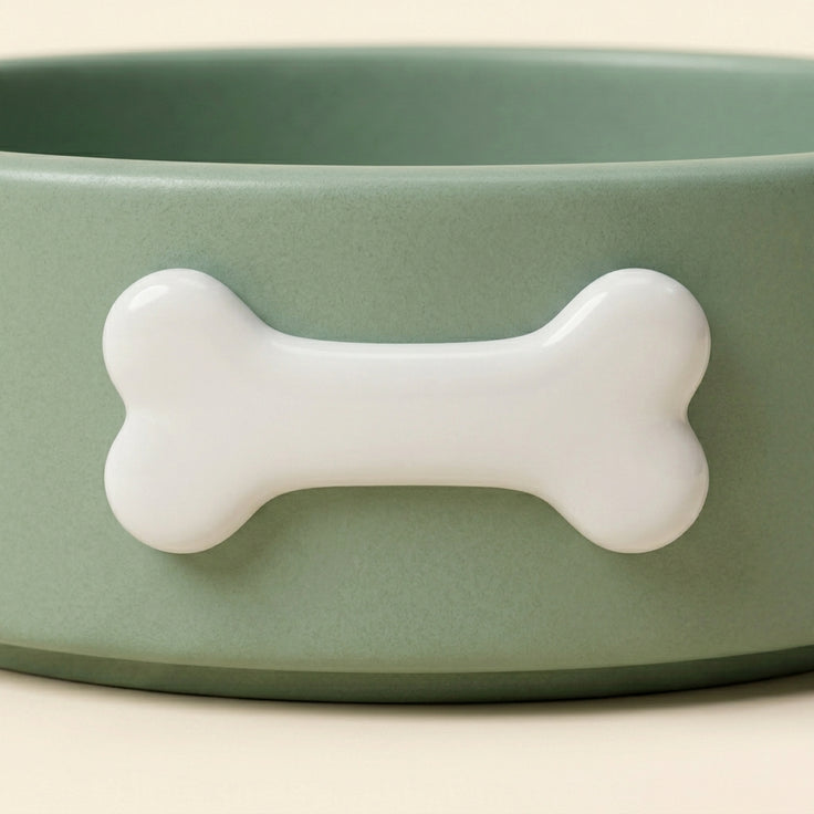 Ceramic Pet Bowl
