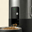Smart Dog Feeder