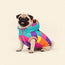 Dog Vest – BrightTail