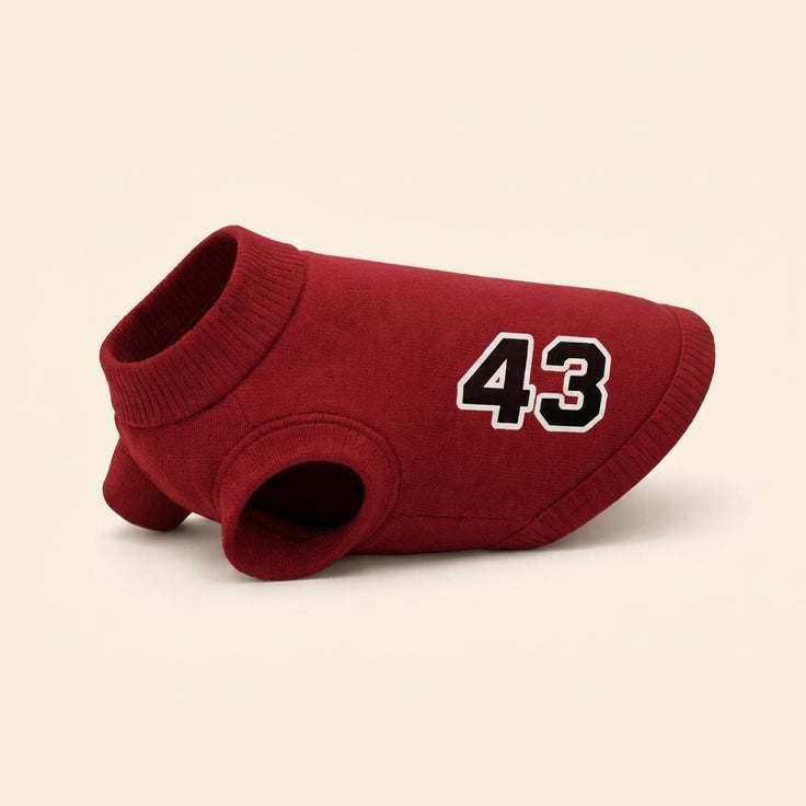 Sweater - RacerPaw 43