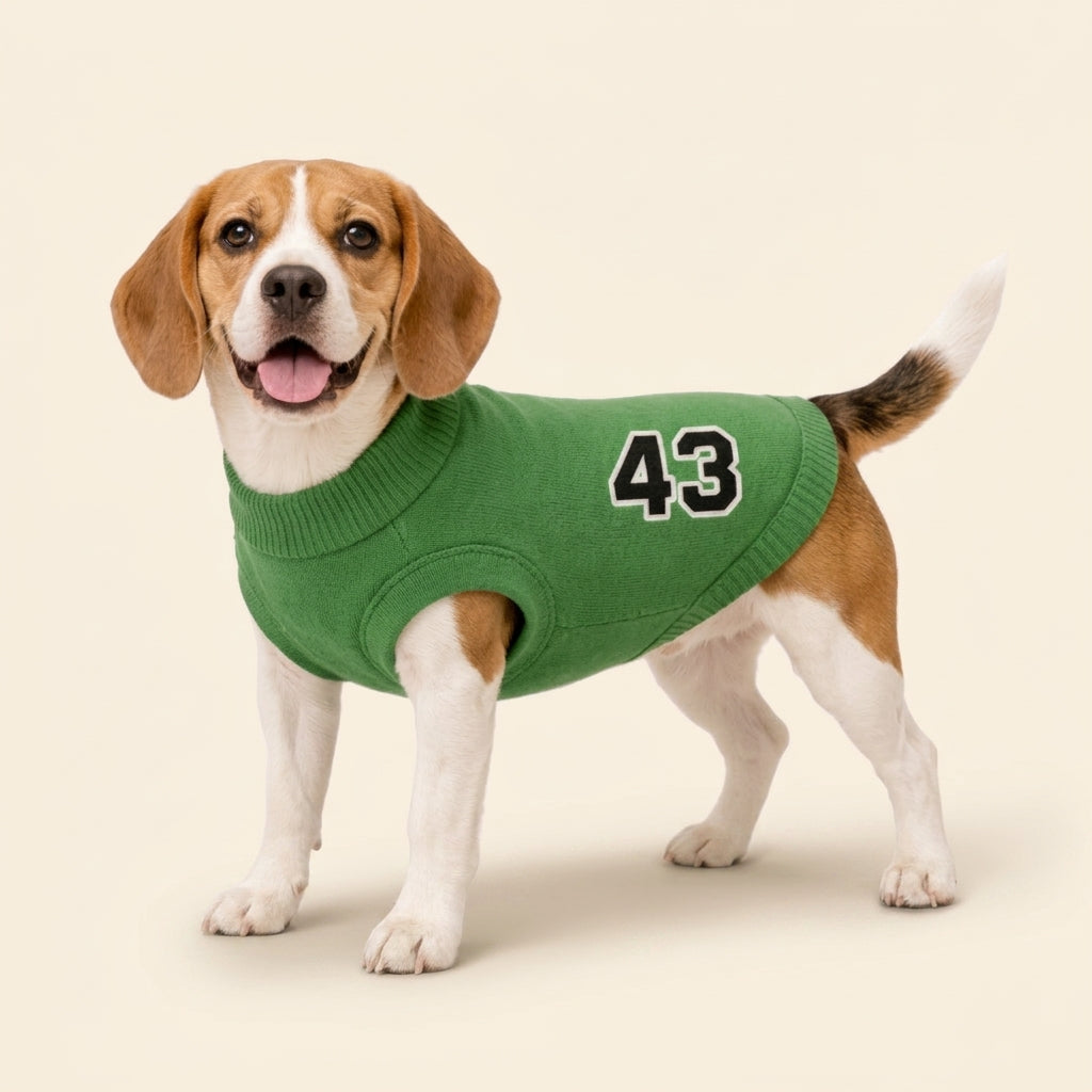 Sweater - RacerPaw 43