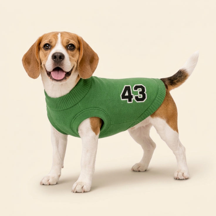 Sweater - RacerPaw 43