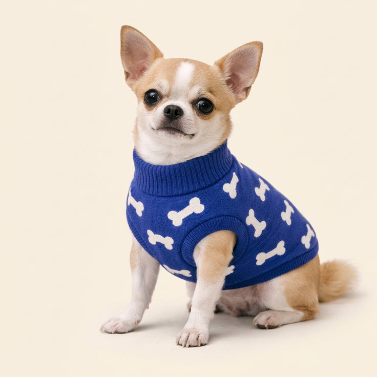 Sweater - WarmBuddy