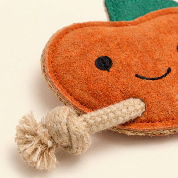 ECO Dog Toy — Jute Apple