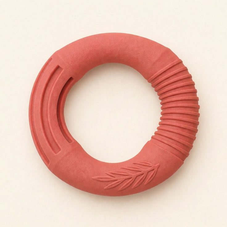 ECO Biodegradable Rubber Ring Dog Toy