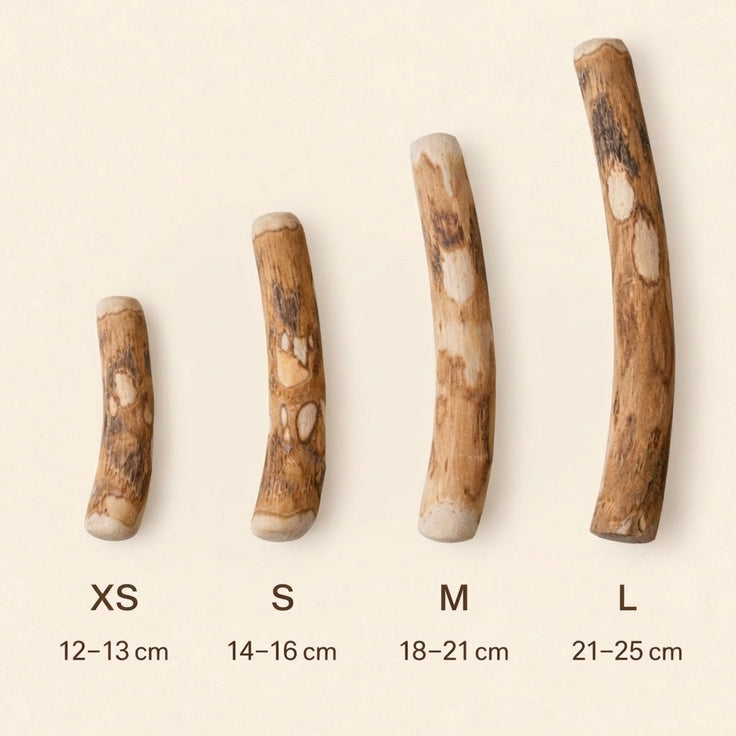 Doggo Chew — Olive Wood