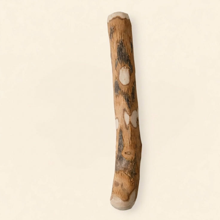 Doggo Chew — Olive Wood