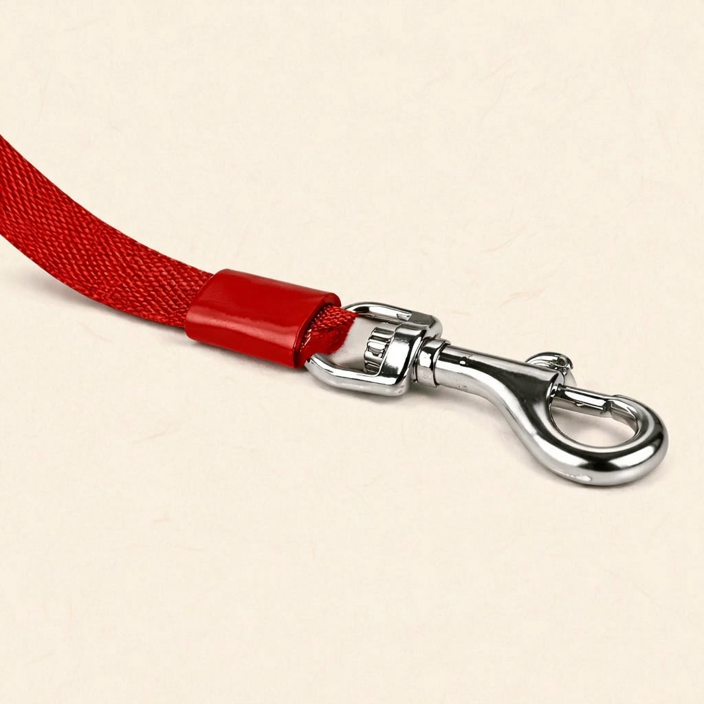 Automatic Dog Leash