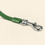Automatic Dog Leash