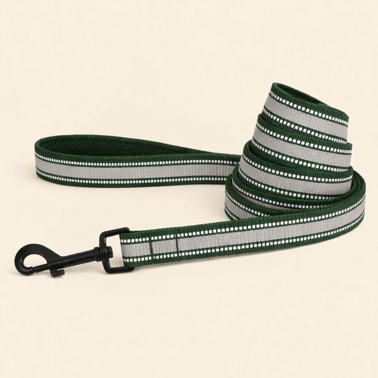 Reflective Dog Leash