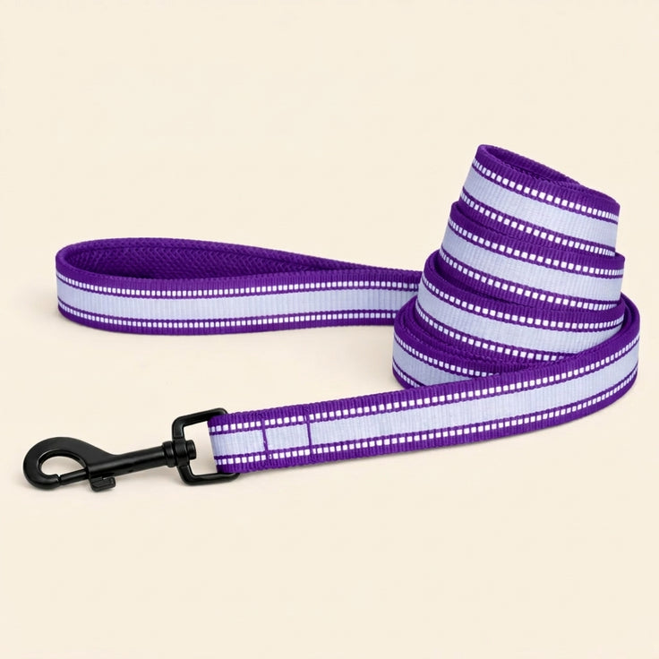 Reflective Dog Leash