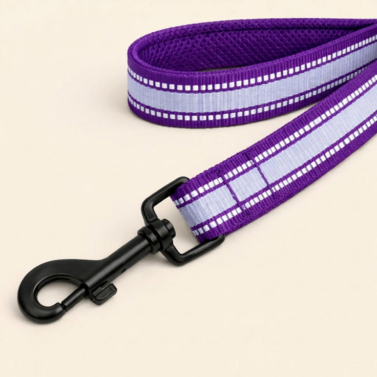 Reflective Dog Leash