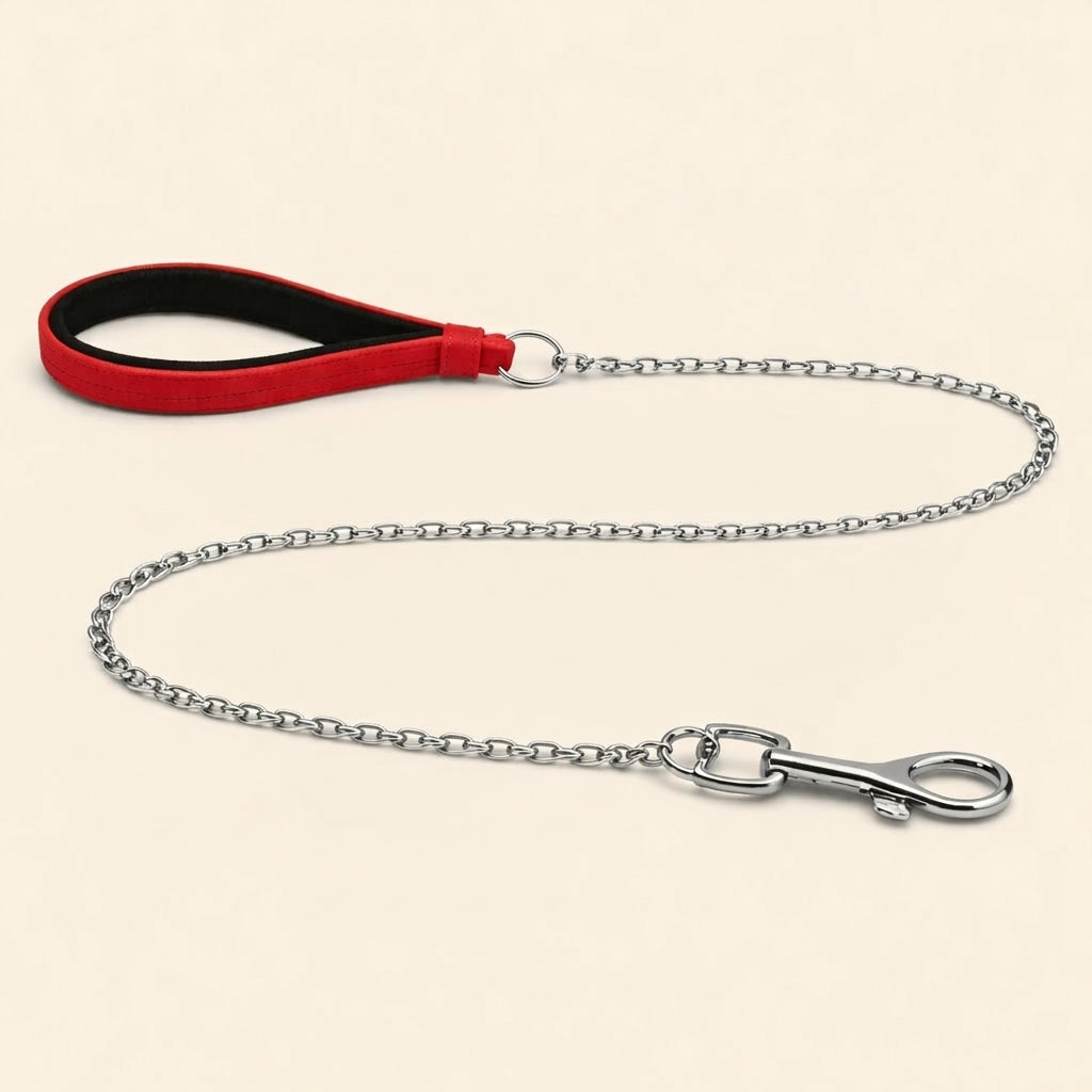 Metal Dog Leash with Nylon