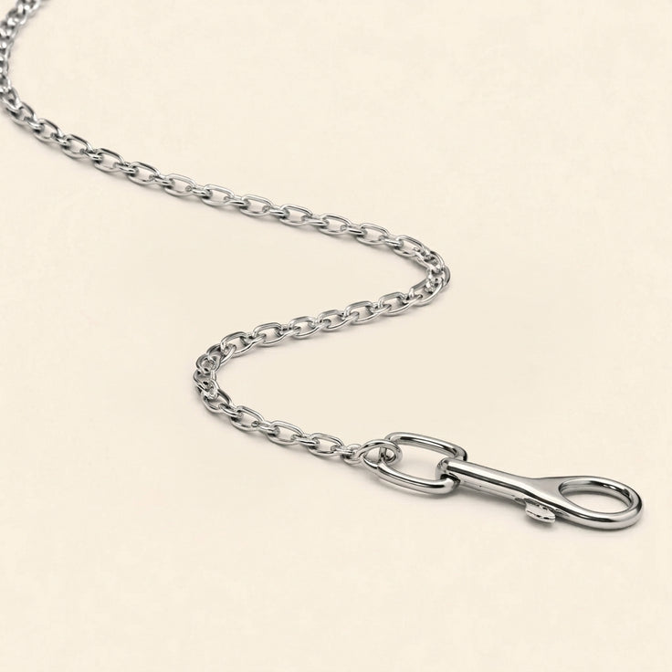 Metal Dog Leash with Nylon