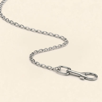 Metal Dog Leash with Nylon