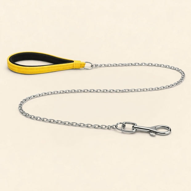 Metal Dog Leash with Nylon