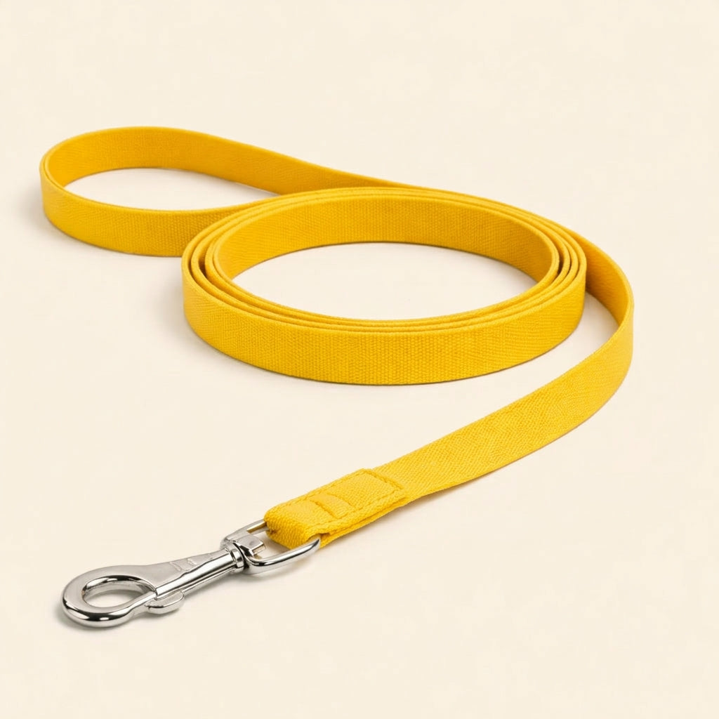 Durable Dog Leash